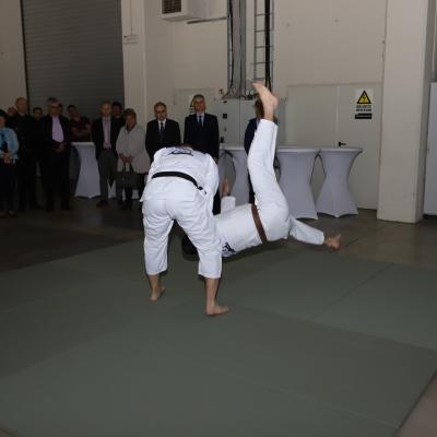 Img 1050